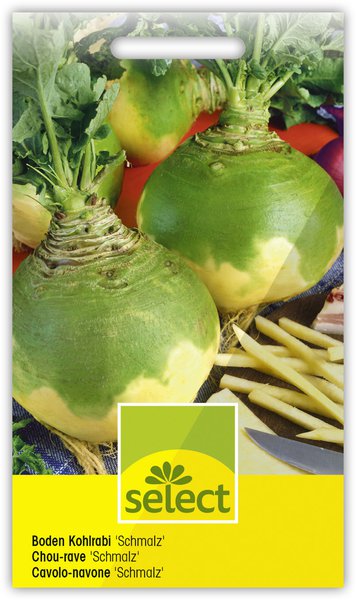 Boden Kohlrabi 'Schmalz'