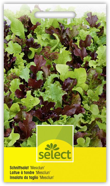 Schnittsalat Mesclun