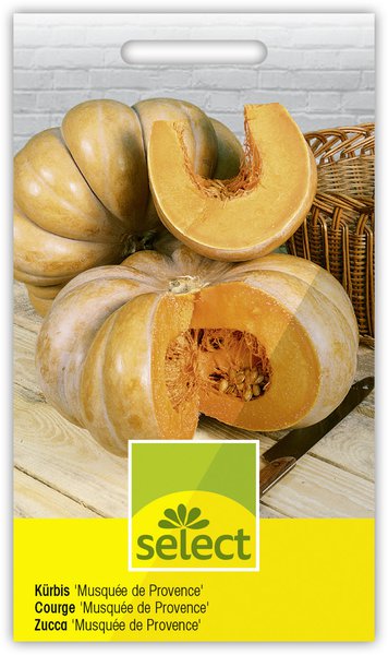 K�rbis 'Musqu�e de Provence'