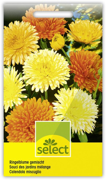 Ringelblume gemischt