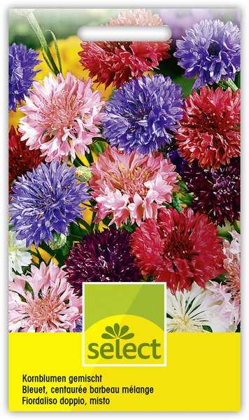 Kornblumen gemischt