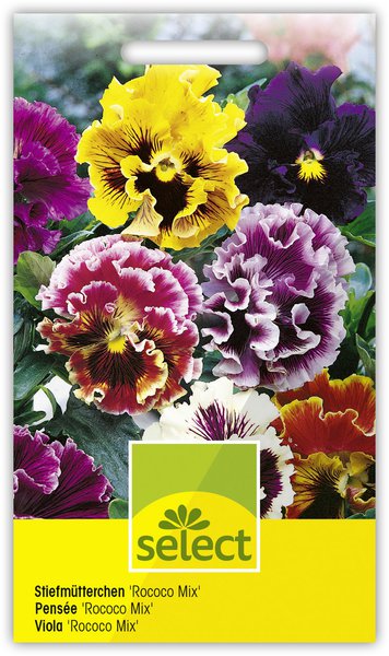 Stiefm�tterchen 'Rococo Mix'