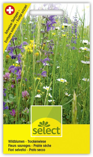 Wildblumen f�r Trockenwiese 4m2