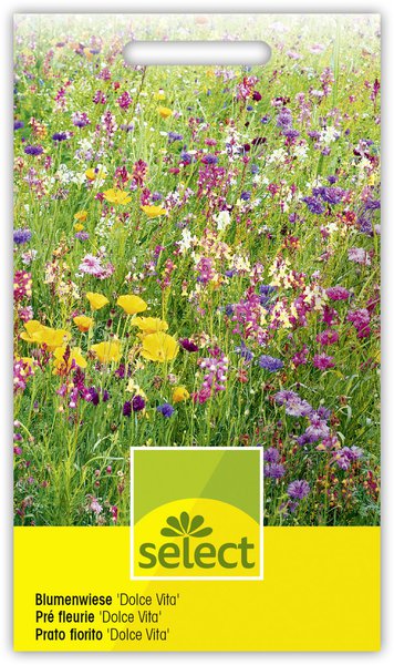 Blumenwiese 'Dolce Vita'