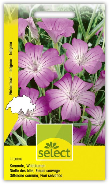 Kornrade, Wildblumen