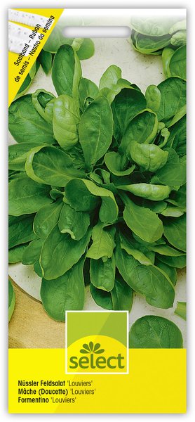 N�ssler 'Louviers' Feldsalat, Saatband
