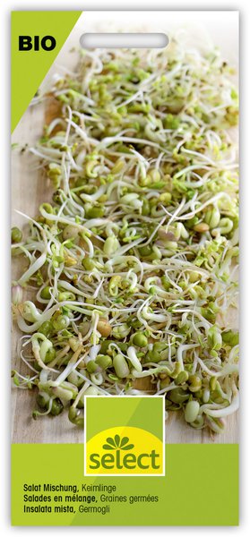 Salad Mix, Speisekeimling BIO