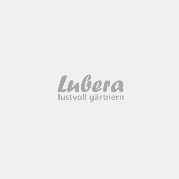 Aucune image produit disponible